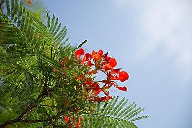 3DM速报：贝姐麻花辫，怪猎明年见！老任今天又动手了